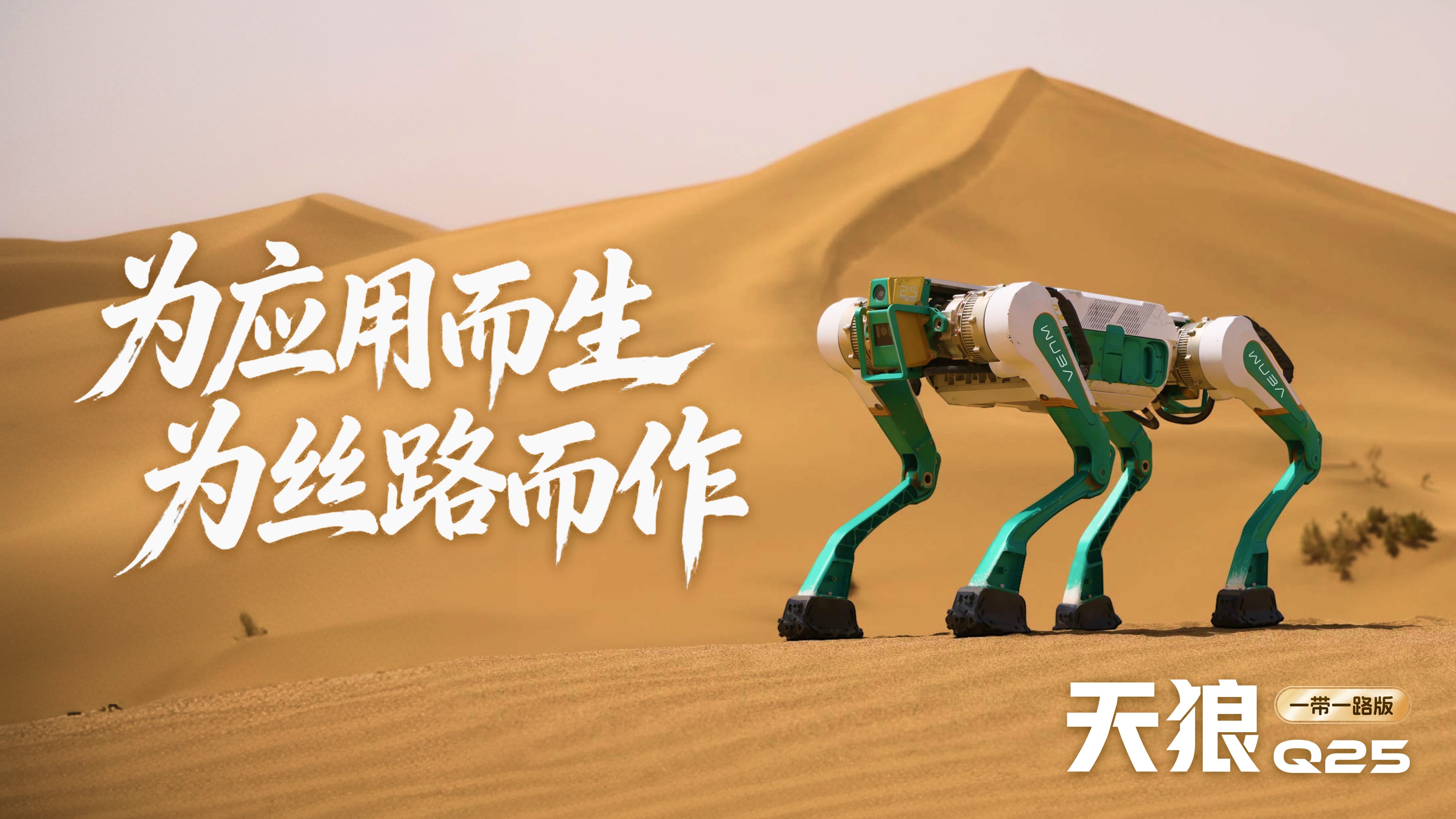 天狼 Q25,来源:厂商官方展示图